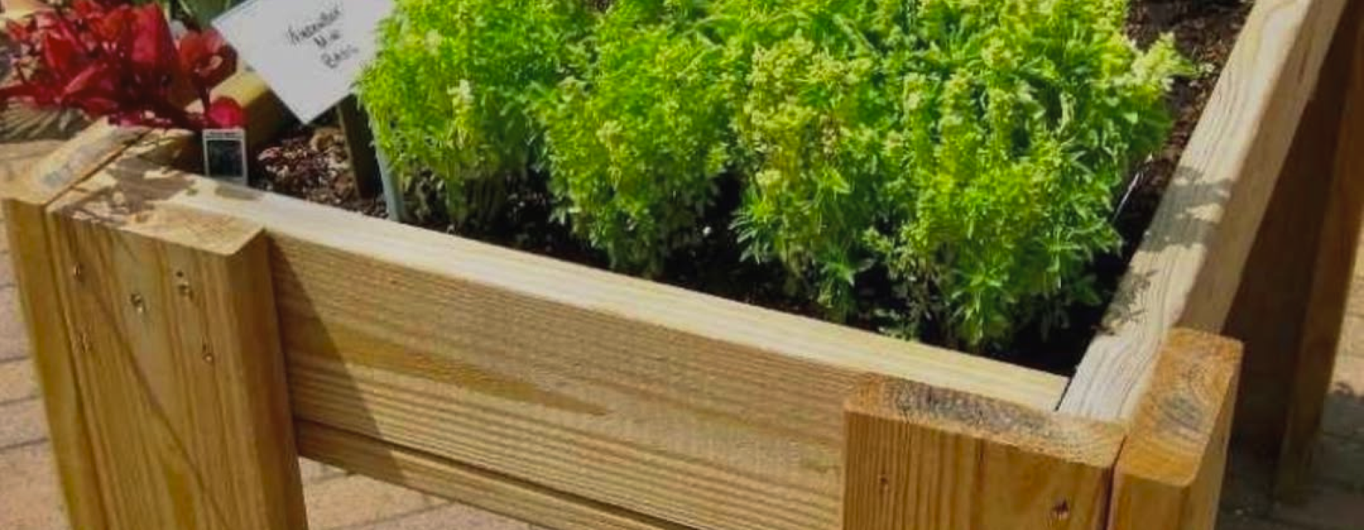 Bienvenue au Jardin du Paradis